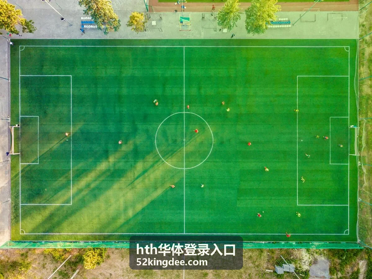 hth华体登录入口首页入口位置示意
