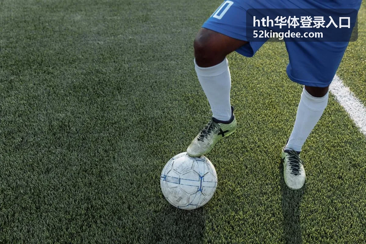 hth华体登录入口身份校验环节示意